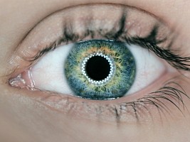 4 серьезных заболевания, которые выявляются уже на первом приеме у окулиста