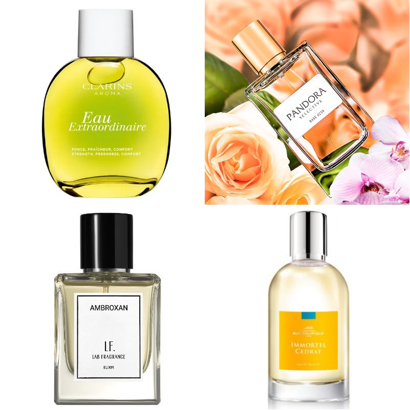«Еще не было человека, которому бы они не понравились»: 11 лучших парфюмов для женщин
