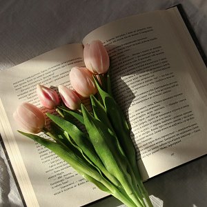 От классики до современности: 12 книг о романтических отношениях От классики до современности: 12 книг о романтических отношениях
