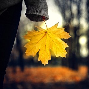 Сезонная депрессия: при чем тут солнечный свет, рассказывает психиатр Сезонная депрессия: при чем тут солнечный свет, рассказывает психиатр