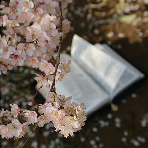 10 книг, которые помогут раскрыть женственность 10 книг, которые помогут раскрыть женственность