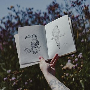 Человек и природа: 7 книг о мире животных и чему он может научить мир людей Человек и природа: 7 книг о мире животных и чему он может научить мир людей